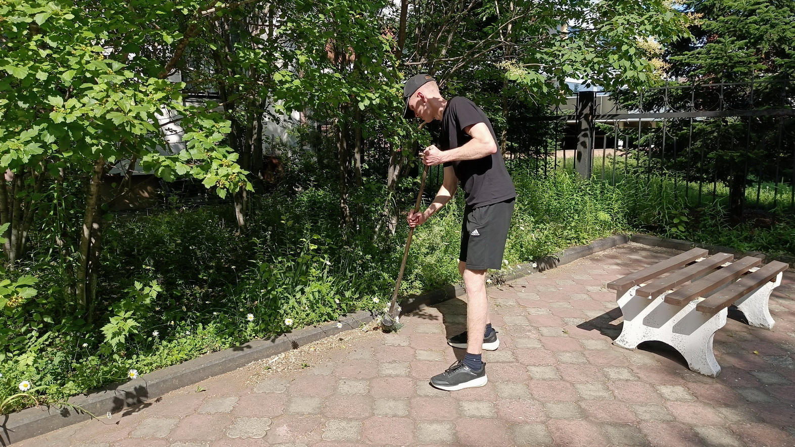 img 1